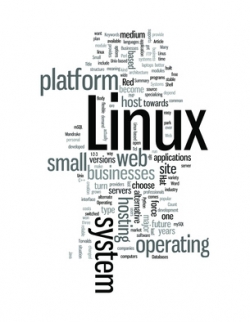 Das Linux-Netzwerk